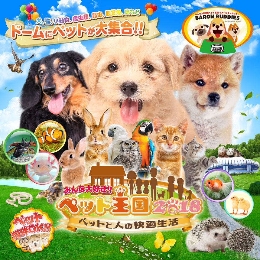 みんな大好き!!ペット王国2018 犬、猫、小動物、爬虫類、昆虫、観賞魚、鳥など ドームにペットが大集合!!