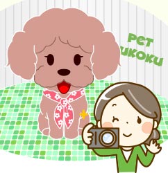 愛犬フォトスポット