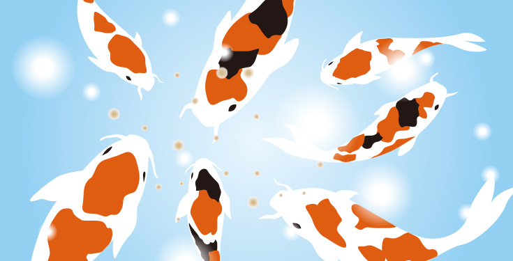 お魚えさやりコーナー